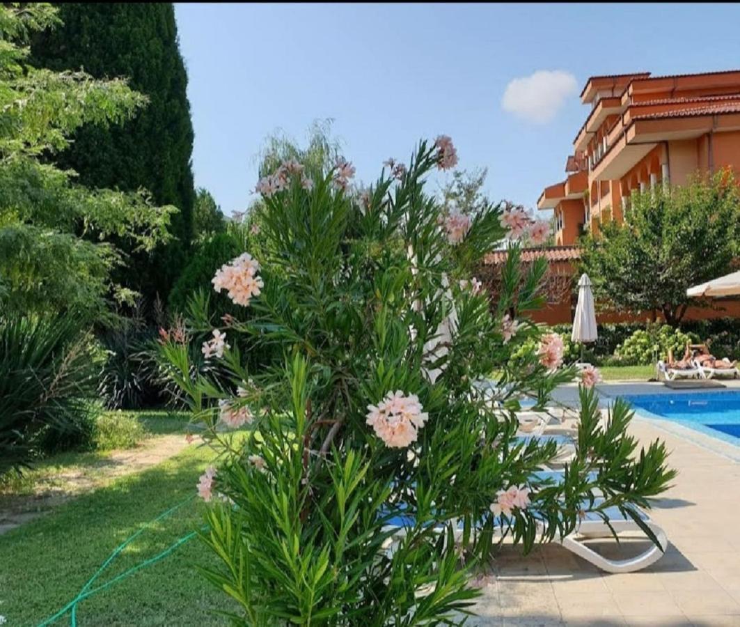Family Hotel Magnolia Sunny Beach Dış mekan fotoğraf
