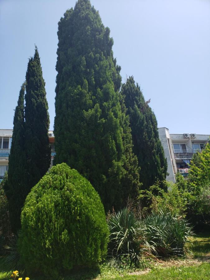 Family Hotel Magnolia Sunny Beach Dış mekan fotoğraf