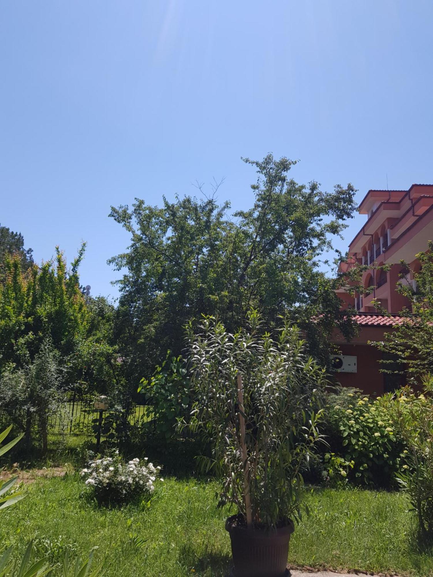 Family Hotel Magnolia Sunny Beach Dış mekan fotoğraf