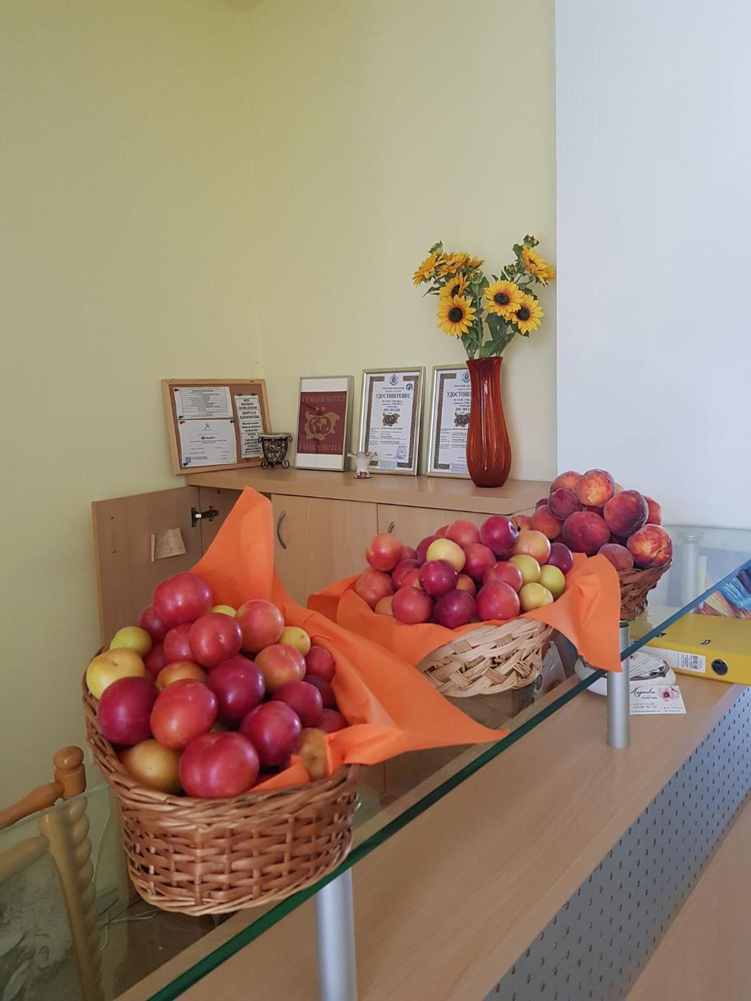 Family Hotel Magnolia Sunny Beach Dış mekan fotoğraf